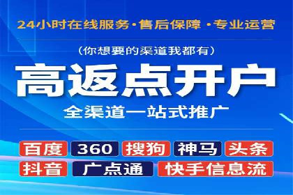 网络推广与竞价策略实战案例